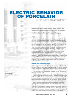 Electric Behavior of Porcelain in Polluted Environments