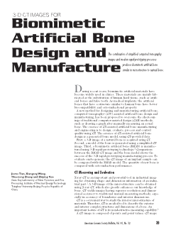 3-D CT Images for Biomimetic Artifical Bone Design and Manufacture