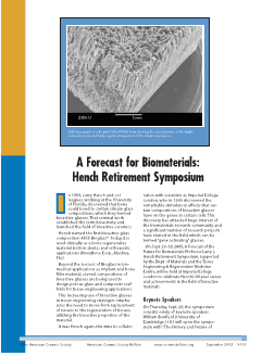 A forecast for biomaterials: Hench Retirement Symposium