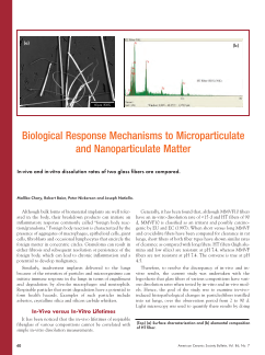 Biological response mechanisms to microparticulate and nanoparticulate matter