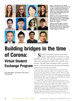 Building bridges in the time of Corona: Virtual Student Exchange Program